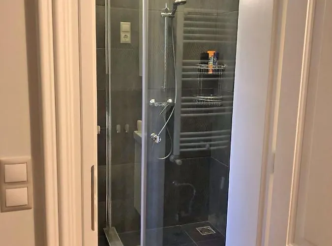 Modern Comfort In Historical Apartament