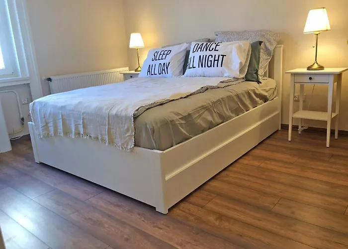 Modern Comfort In Historical Apartman *