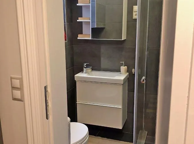 Modern Comfort In Historical * Budapest