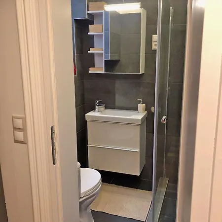 Modern Comfort In Historical * Boedapest
